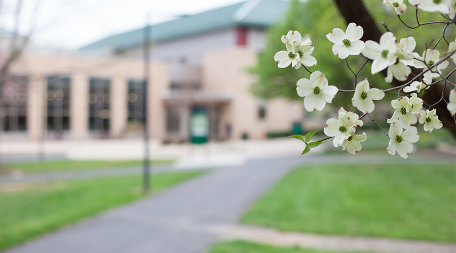 White Flowers blooming on tree in front of Student Center